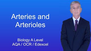 A Level Biology Revision quotArteries and Arteriolesquot [upl. by Soo]