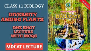 DIVERSITY AMONG PLANTS  ONE SHOT SERIES PART 1  MCQS ALSO EXPLAINED  DOCTORS STOP BIOLOGY [upl. by Abla722]