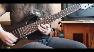 King Gizzard amp The Lizard Wizard  Venusian 12 Guitar Cover [upl. by Lehcem]