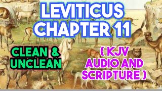 THE HOLY BIBLELEVITICUSCHAPTER 11KJV [upl. by Bathilda]