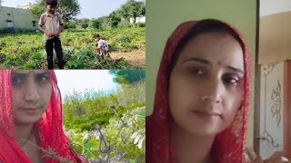 hlo friend gm🥰आज हमने खेत मे मूफलीयो की लावणी की😋Mamtajaatnivlogs [upl. by Michaeu]