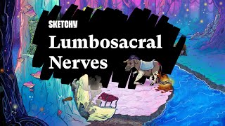 Exploring Lumbosacral Nerves amp Radiculopathy Types Part 1  Sketchy Medical [upl. by Ainiger]