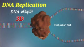 DNA Replication 3D Animation In Hindi  DNA प्रतिकृति  sciencevigyan [upl. by Annoirb915]