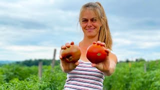 Meet the Master Organic Veggie Farmer  Good Work [upl. by Eittap]