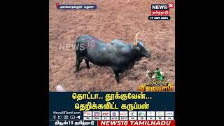 தொட்டா தூங்குவேன் தெறிக்கவிட்ட கருப்பன்  Alanganallur Jallikattu 2024  Madurai [upl. by Artemisia106]