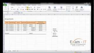 Excel 2010 Grundwissen Fehler finden und beheben [upl. by Alithia]