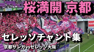 【チャント集】京都で咲き誇るセレッソサポーター応援歌集【京都サンガvsセレッソ大阪 関西ダービー】サンガスタジアム京都 CREZO OSAKA ULTRAS [upl. by Euqimod]