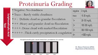 Semiquantitative Tests in Urine Analysis [upl. by Giselbert]