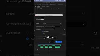 Spare Zeit und Nerven Automatische Untertitel in Premiere Pro [upl. by Akeinahs]