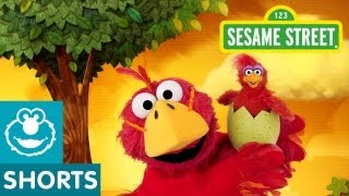 Sesame Street Bird Musical Preview  Elmo the Musical [upl. by Salvucci245]