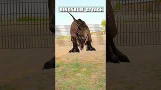 TRex Dinosaur Cage dinosaur dinosaurs jurassicworld [upl. by Yelraf]