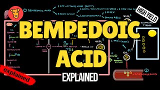 BEMPEDOIC ACID Mechanism of action Pharmacology of Lipid lowering drugs [upl. by Tamberg]