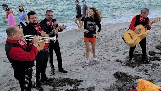 OMG Random Girl with Amazing Voice Sings with Mariachi Band on Miami Beach Florida [upl. by Lainahtan208]