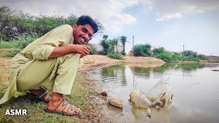 ASMR at my Favorite Nature Pond 🏞️ Public Asmr [upl. by Nabetse]