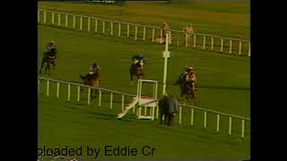 1989 Rossington Main Novices Hurdle Doncaster [upl. by Gillead]