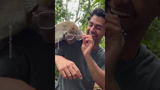 Monkey In Bali Tries On Glasses 🐒 [upl. by Allina]