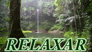 Som de Chuva e Floresta  2 Horas  Dormir Relaxar [upl. by Grew]