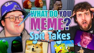 Try Not To Laugh  Water Challenge  What Do You Meme [upl. by Ivon588]