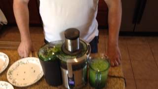 Breville Icon BJE510XL Juicer Review amp Greens Test [upl. by Spector]