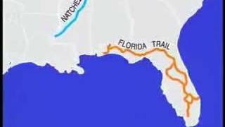 All About Wakulla County Florida [upl. by Nancee]