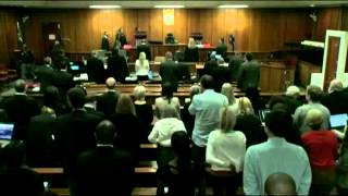 Final Arguments Being Heard at Pistorius Trial [upl. by Burta]