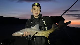 Fishing For hounds on the Holderness Coast  Target achieved Sea Fishing UK [upl. by Peatroy]