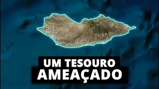 Por que Socotra é uma ilha condenada [upl. by Neelhtakyram]