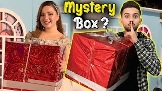 Mystery Box Prank On Rabeeca🤣 Mystery Box Open Kar Ke Dar Gayi Rabeeca  Shaheer Khan Vlogs [upl. by Banwell]