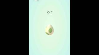 Pokemon Go Grimer egg hatch [upl. by Anirdna]