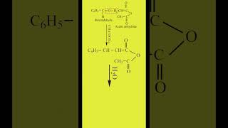 Perkins Reaction  Preparation of Cinnamic Acid  Carbonyl Compounds  Organic Chemistry Class 12 [upl. by Lieno]