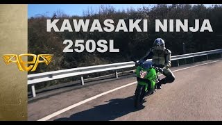 Kawasaki Ninja 250SL İncelemesi [upl. by Airtal]