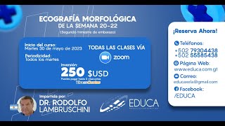 Curso Online Ecografía Morfológica de la Semana 2022 [upl. by Daigle981]