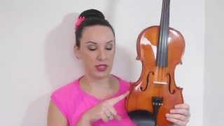 Stentor Student Standard 1018A Violin Review [upl. by Leyes]