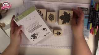 Tutorial Stempel montieren mit Stampin Up [upl. by Davina944]