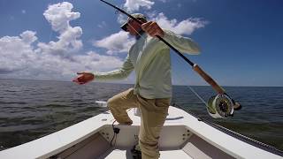 Homosassa Tarpon On Fly Breaks 12wt [upl. by Annah]