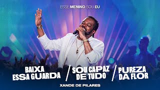 Xande de Pilares  PotPourri Baixa Essa Guarda DVD Esse Menino Sou Eu  Ao Vivo [upl. by Sikleb]