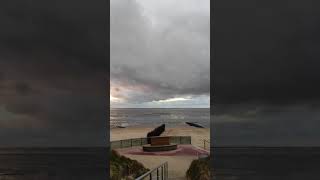 Urlaub in Cuxhaven Webcam Duhnen Kugelbake [upl. by Ebaj]