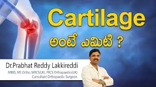 Hi9  Cartilage అంటే ఎమిటి   What is Cartilage  Dr Prabhat reddy Lakkireddy  Orthopedic surgeon [upl. by Enialed]