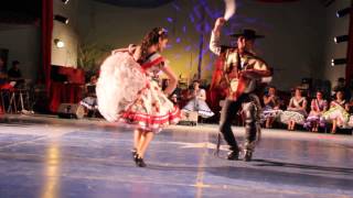 3° Cueca Campeones de arica 2014 [upl. by Relyhcs]