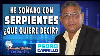 N° 088 quotHE SOÑADO CON SERPIENTES ¿QUÉ QUIERE DECIRquot Pastor Pedro Carrillo [upl. by Sibley]