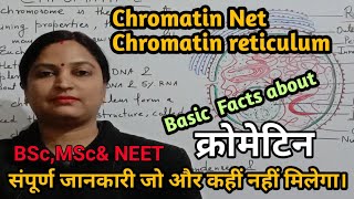 Chromatin Structure Euchromatin Heterochromatin amp Functionsक्रोमेटिन की जानकारी।NEETBScMScSTD [upl. by Longawa]