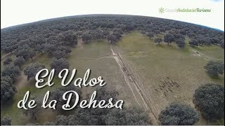 El valor de la Dehesa Los Pedroches P N Cardeña Montoro Córdoba [upl. by Metzgar639]