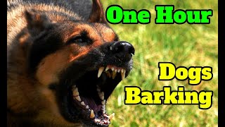 Dogs Barking for One Hour  barking sounds for 60 minutes of different breeds of dogs [upl. by Gardia]