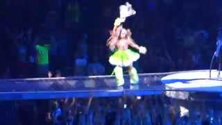 Lady Gaga  Swine  Live in Fort Lauderdale FL  artRave The ARTPOP Ball [upl. by Fredra646]