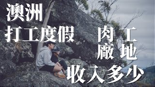 【澳洲打工】肉廠和工地 哪個好賺？｜賺得到第一桶金嗎？｜ Its Austin [upl. by Notlek72]