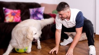 Me and My Dog Playing with a Soccer Ball [upl. by Rubma]