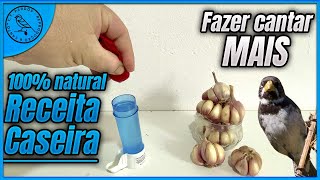 FAZER CANTAR MAIS RECEITA CASEIRA NATURAL [upl. by Eirtemed]