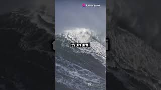 2011 Japan Tsunami The Tragedy and the Fukushima Nuclear Disaster  Historic Mysteries [upl. by Yrbua]