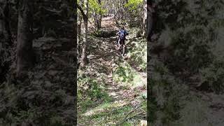 Montesa 260 remapped tricky uphill jump by engine power [upl. by Eniawed]