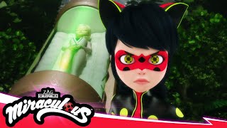 MIRACULOUS  🐞 RECREATION  Akumatized 🐾  SEASON 5  Tales of Ladybug amp Cat Noir [upl. by Klina]